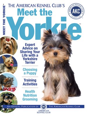 cover image of Meet the Yorkie